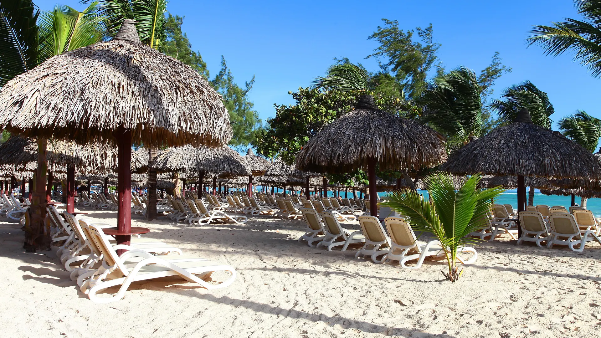 Bahia Principe Fantasia Punta Cana (Adults Only) Bavaro